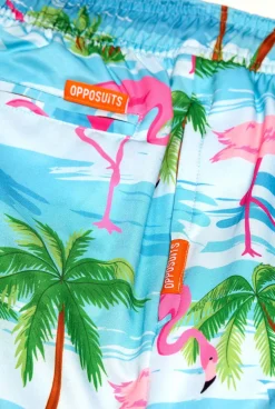 Heren OppoSuits Zwembroeken|Flaminguy