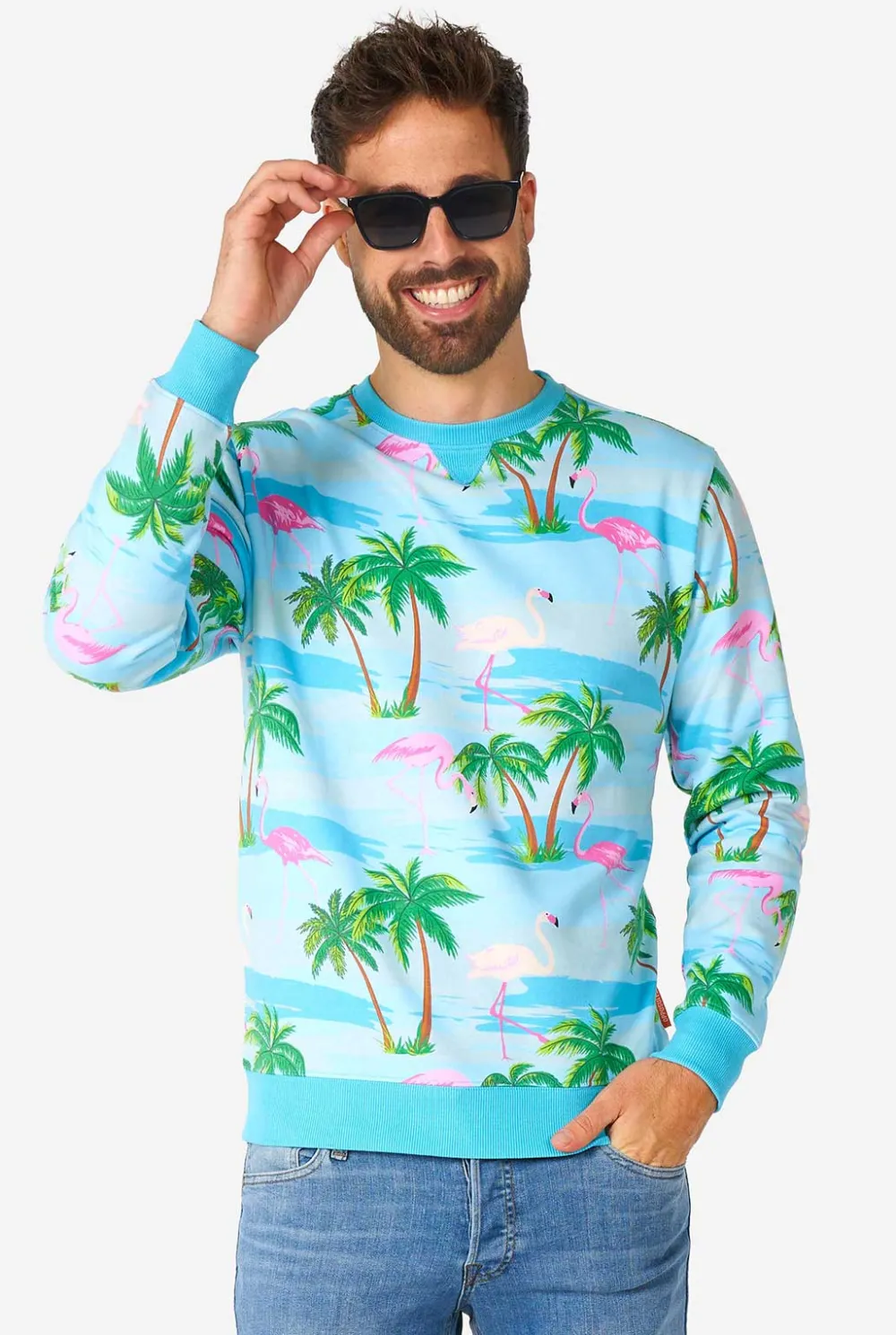 Heren OppoSuits Carnavals Sweaters|Flaminguy
