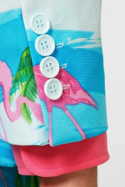 Heren OppoSuits Vrijgezellenfeest Pakken|Carnavalspakken|Flaminguy