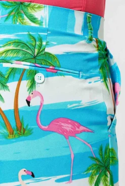 Heren OppoSuits Vrijgezellenfeest Pakken|Carnavalspakken|Flaminguy