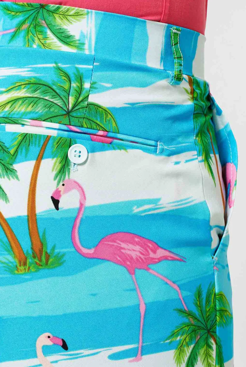 Heren OppoSuits Vrijgezellenfeest Pakken|Carnavalspakken|Flaminguy