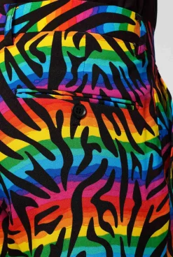 Heren OppoSuits Vrijgezellenfeest Pakken|Pride Pakken|Wild Rainbow