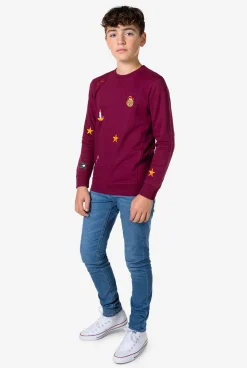 OppoSuits Sweaters|X-Mas Icons - Burgundy